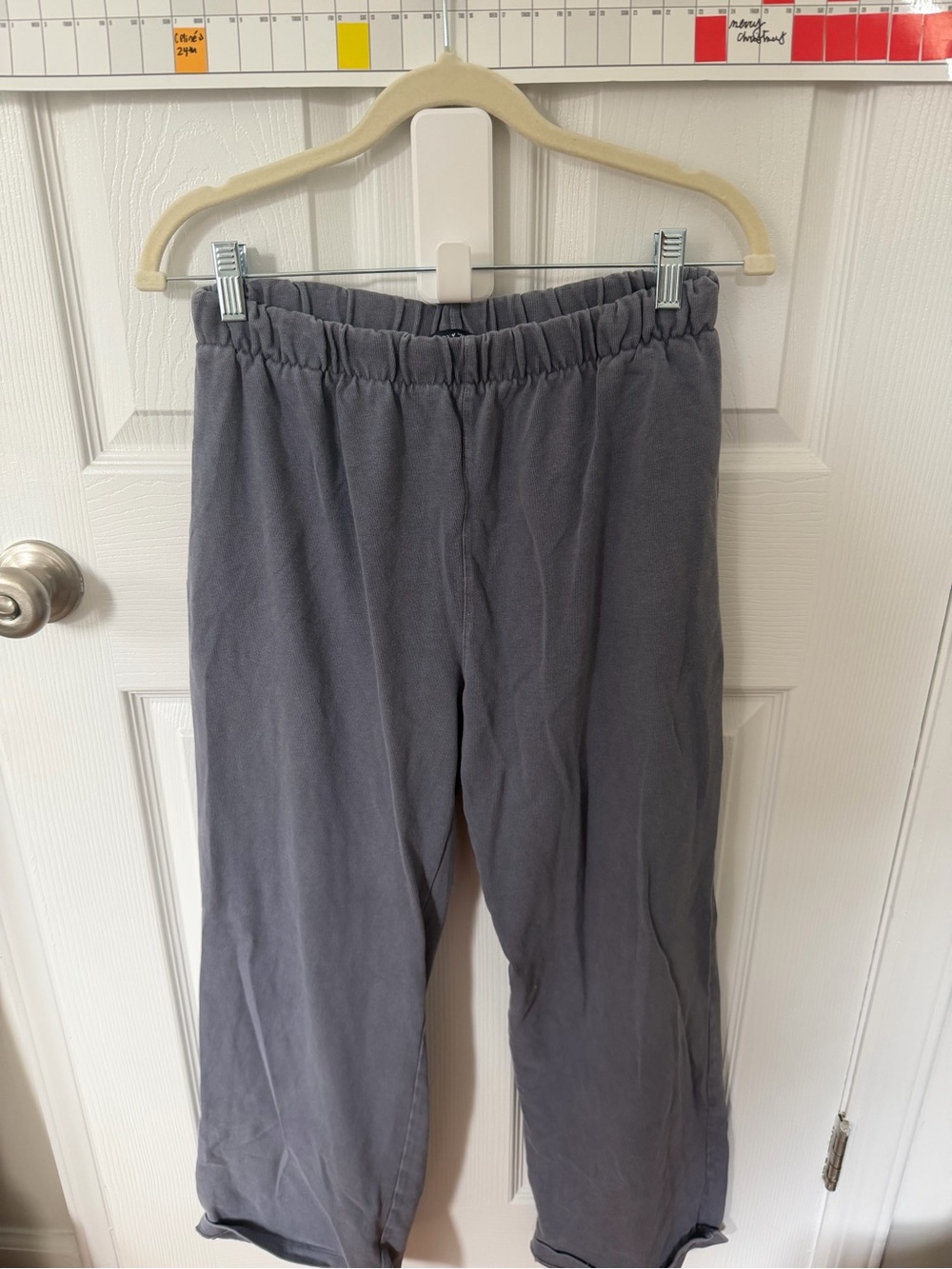 Brandy Melville Gray Elastic Waist Track Pants